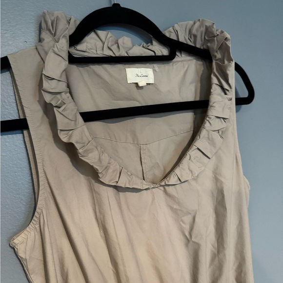 The Limited Tan Ruffle Mini Dress - Picture 6 of 9